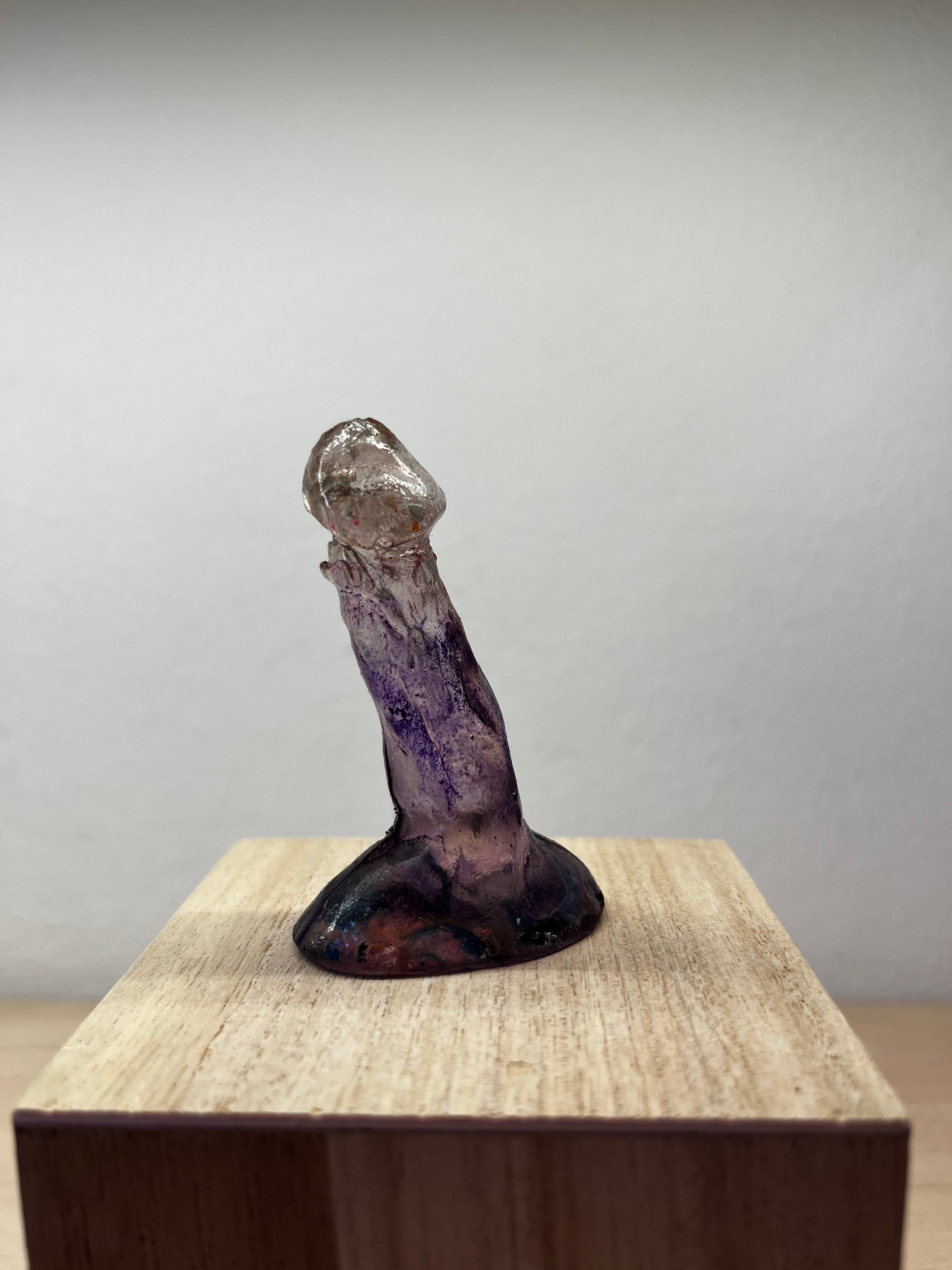 Sti_cazzi purple 08