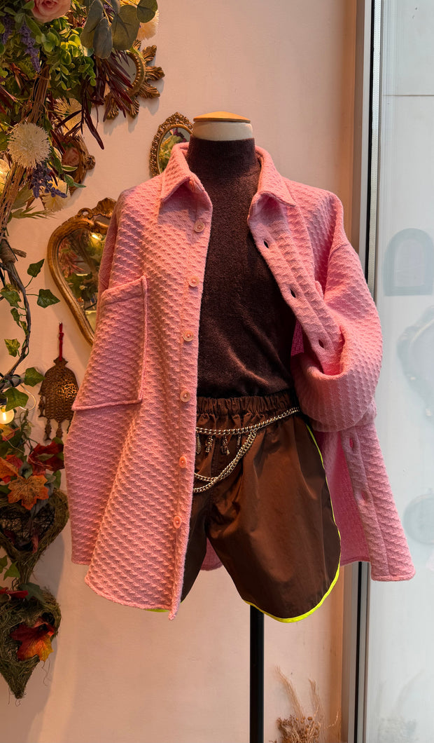 Brancusi Fenicottero