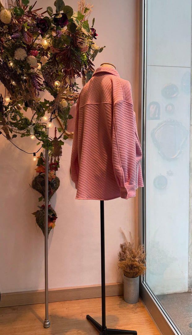 Brancusi Fenicottero