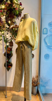 Pantalone Modigliani papiro