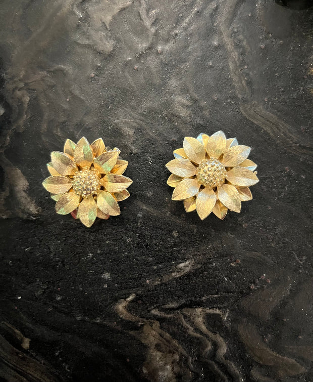 Orecchini botanici clip