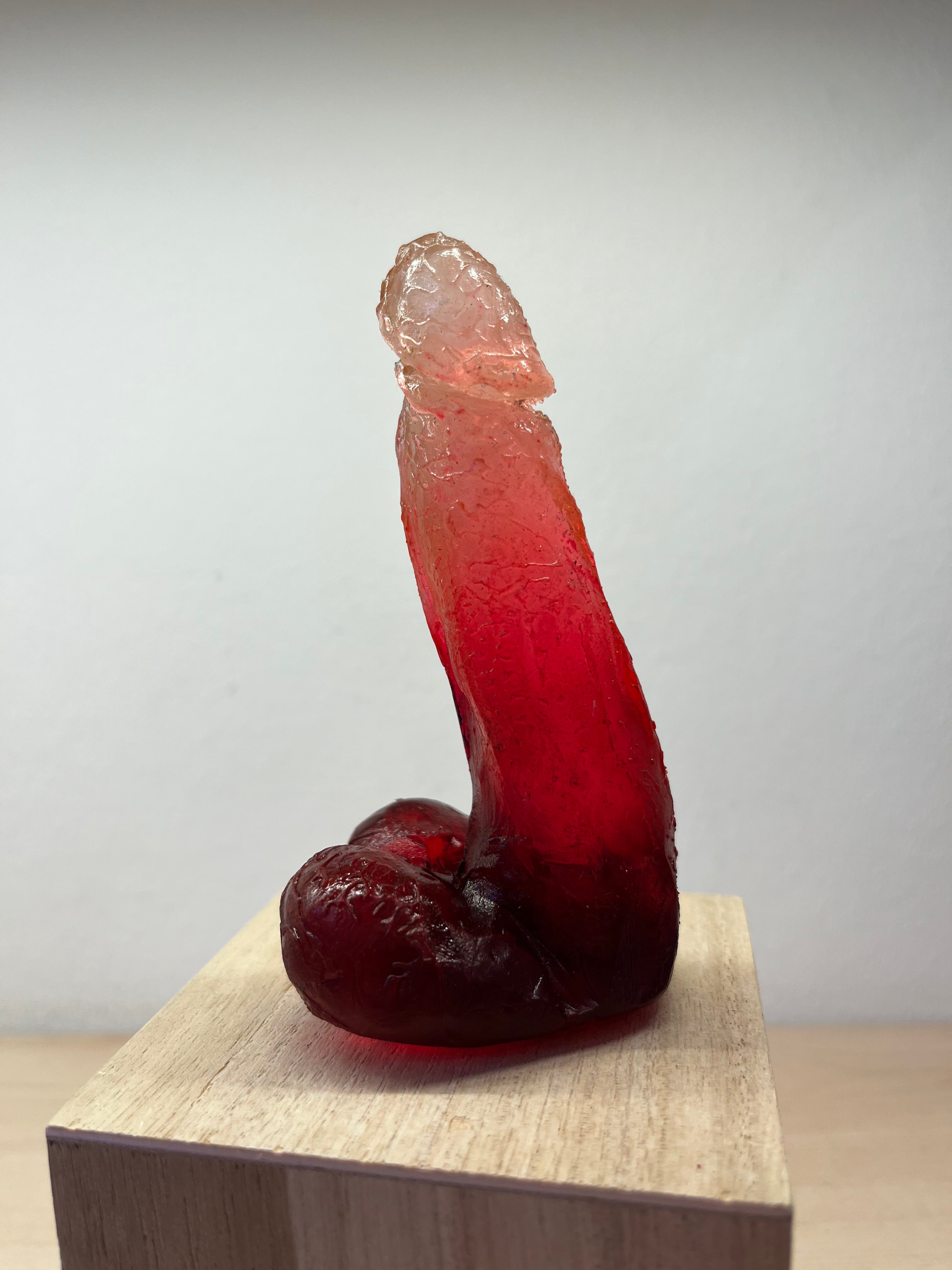 St_cocks Koralle 03